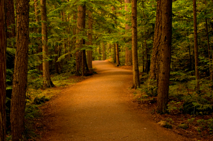 How Meditation Facilitates Healing From AS