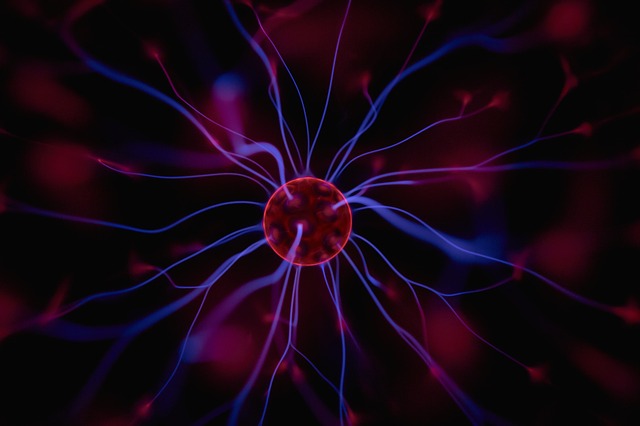 Quantum Physics And Life